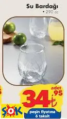 SU BARDAĞI 290 CC